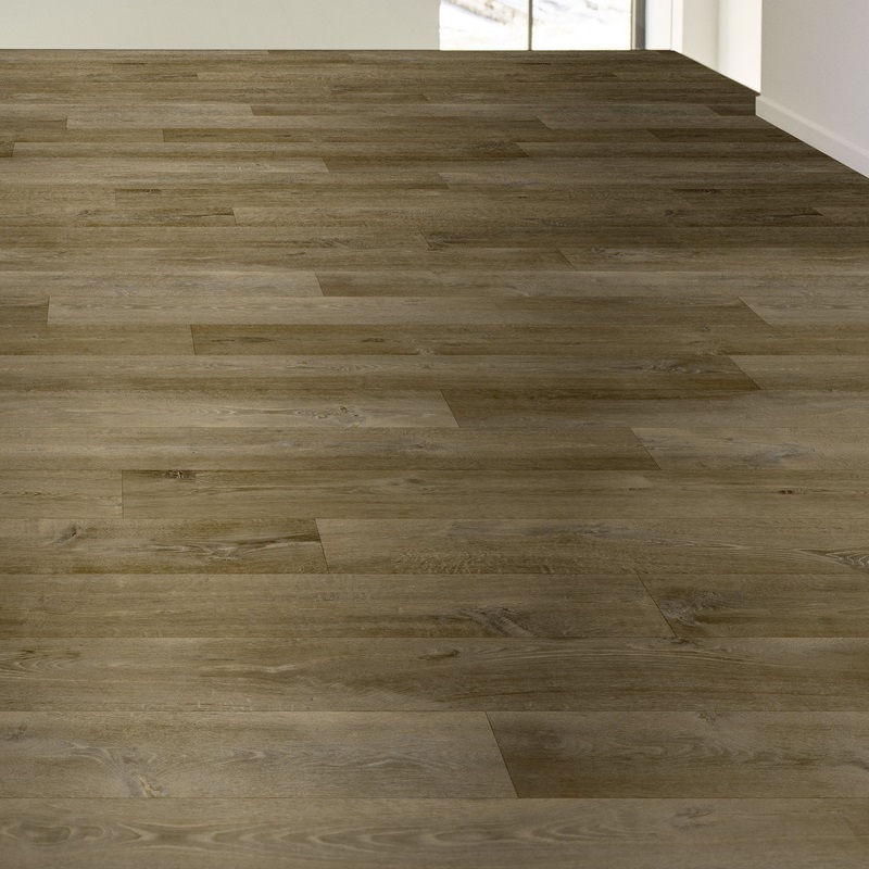 326040_CROOAK696D__1.jpg