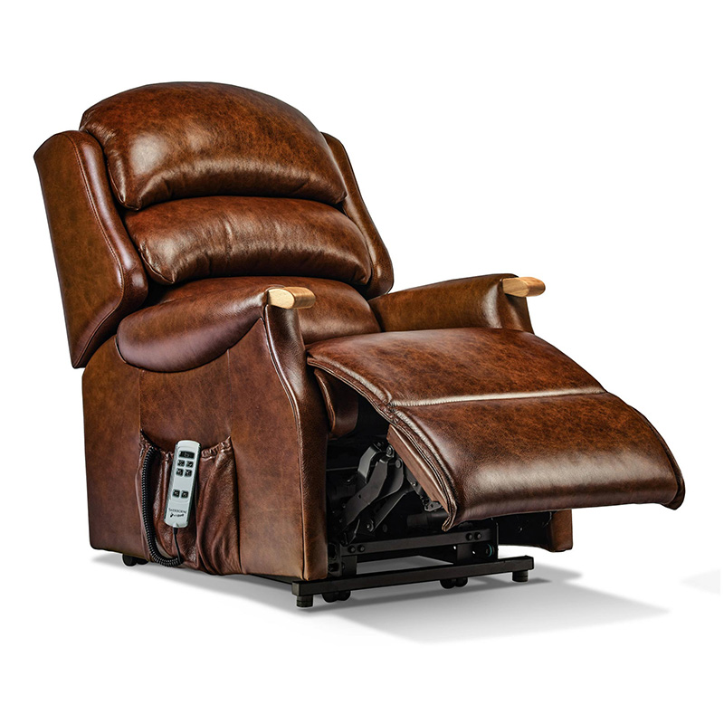 Martham Small 2-motor Electric Riser Recliner