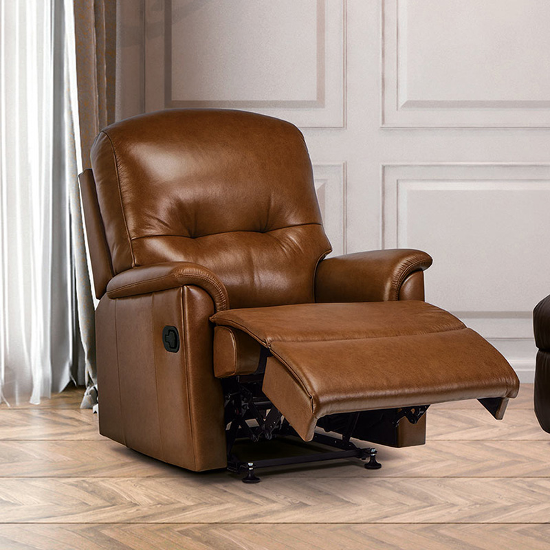 Laxfield Small 1-motor Electric Riser Recliner